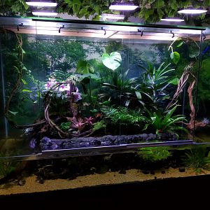 Terrarium (Inhabitants Unseen)