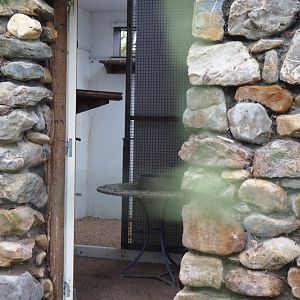 Inside of the waldrapp shed, 2020-01-11