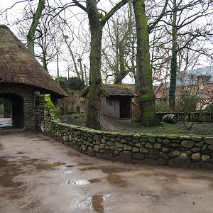 Raccoon exhibit and rabbit/raccoon den shed with visitor passageway, 2020-01-11
