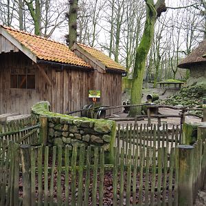 Domestic rabbit exhibit and barn, 2020-01-11