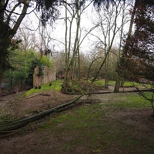 Emu, Red kangaroo and Swamp wallaby exhibit, 2020-01-11