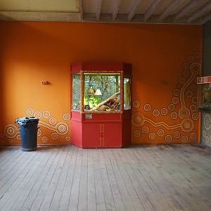 View in the Australian aquarium and terrarium house, 2020-01-11