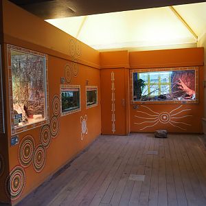View in the Australian aquarium and terrarium house, 2020-01-11