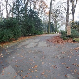 View from entrance towards first bird of prey aviary 021219
