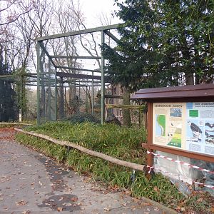 Andean condor aviary 021219
