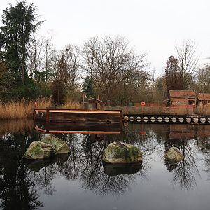 Australian area pond with playground pontoon, 2020-01-11