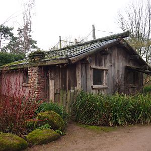 Australian waterside aviary bird house, 2020-01-11