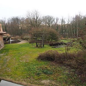 Bonobo island, 2020-01-11