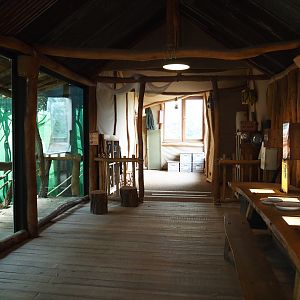 Bonobo house viewing area, 2020-01-11