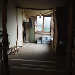 Bonobo house visitor area with viewing windows onto the island, 2020-01-11