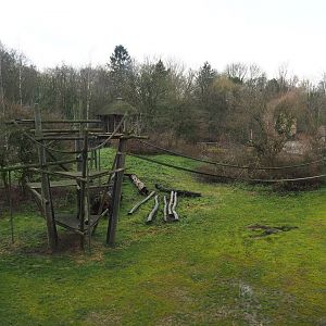 Bonobo island seen from the bonobo house, 2020-01-11