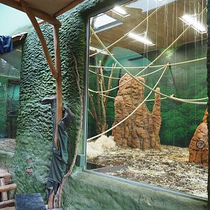 Second bonobo indoor exhibit, 2020-01-11