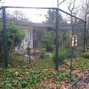 Aviary example 021219