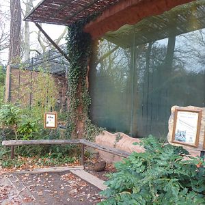 Binturong and Himalayan palm civet enclosures 021219