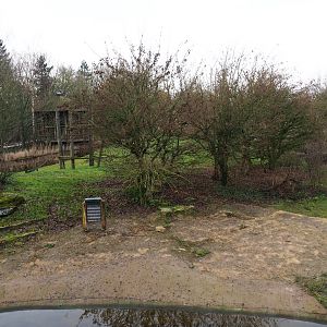 Bonobo island, 2020-01-11