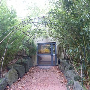 Entrance to Orangutan House 021219