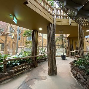 Orangutan House lower level 021219