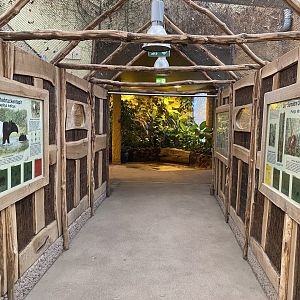 Walkway within Orangutan House 021219