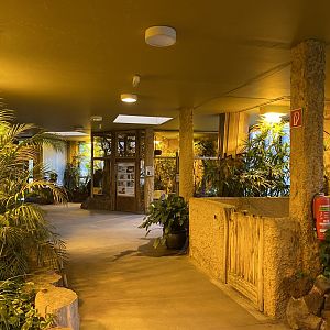 Orangutan House - view towards White-rumped shama and Slow loris exhibits 021219