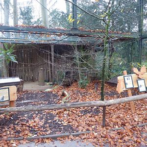 Walkthrough aviary 021219