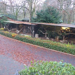 Small cat enclosures 021219