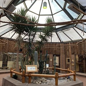 Anteater House indoors 021219