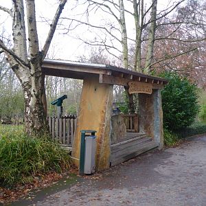 Lookout for South American exhibit 021219