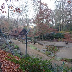 Himalayan tahr and Yak enclosure 021219