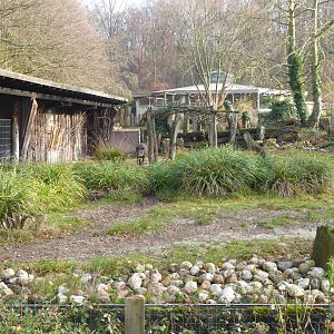 South American tapir enclosure 021219
