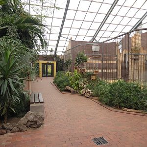 Giraffe House indoors 021219