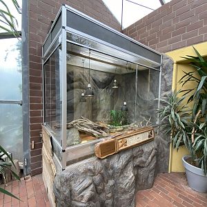 Giraffe House - False cobra exhibit 021219