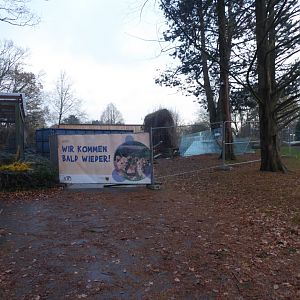 Development work 021219