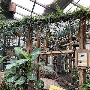 Amazon House - Emperor tamarin exhibit 021219