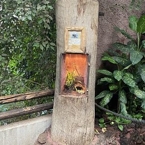 Amazon House - example spider exhibit 021219