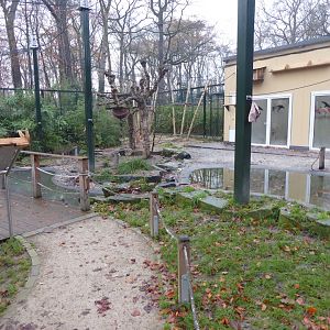 Walkthrough aviary 021219