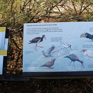 Bird-signs African walk-through aviary