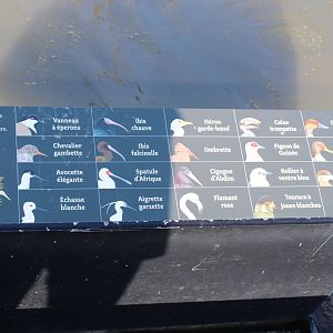 More ( simple ) Bird-signs in the Walk-through aviary