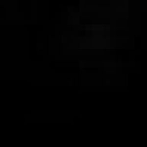 Binturong - Dudley Zoo