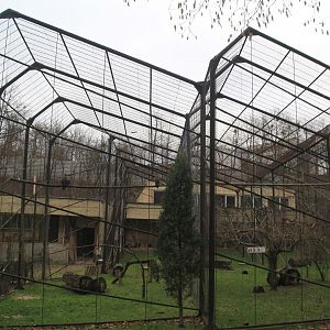 Aviarys for Birds of Prey, January 2020