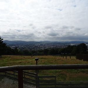 View from top of zoo