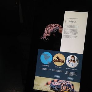 Gila Monster interactive sign