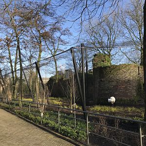Red-crowned crane enclosure in winter