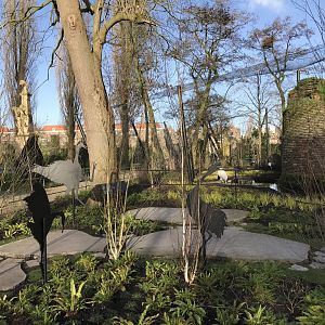 Red-crowned crane enclosure in winter