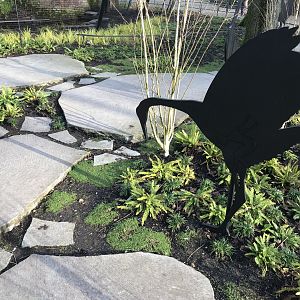 Red-crowned crane enclosure in winter