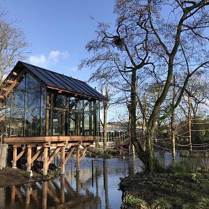 Spider monkey enclosure in winter