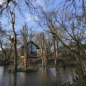 Spider monkey enclosure in winter
