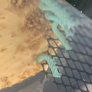 Can someone please identify