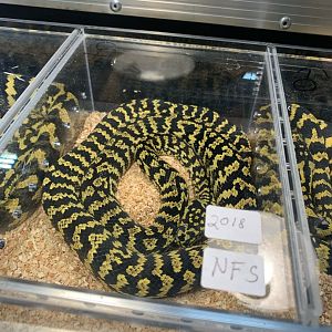 Can somebody identify