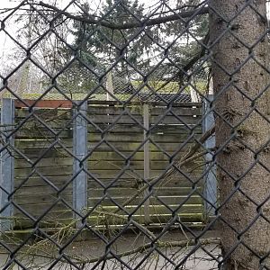 Mountain Goat Holding