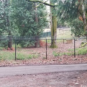 Behind the Scenes Enclosure